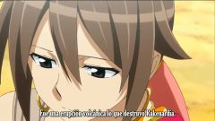 Fairy Tail: Houou no Miko