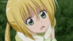 Hayate no Gotoku: Can't Take My Eyes Off You