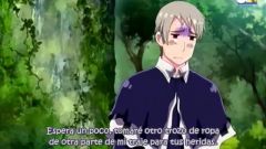 Hetalia World Series