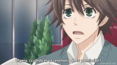 Junjou Romantica 3