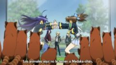 Medaka Box Abnormal