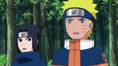 Naruto Shippuden