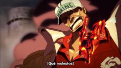 One Piece 3D2Y