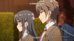 Seishun Buta Yarou wa Bunny Girl Senpai no Yume wo Minai