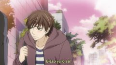 Sekaiichi Hatsukoi 2