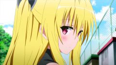 To LOVE-Ru Darkness