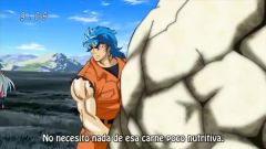 Toriko