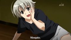 Yosuga no Sora